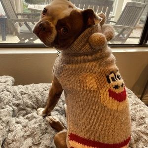 Monkey dog sweater